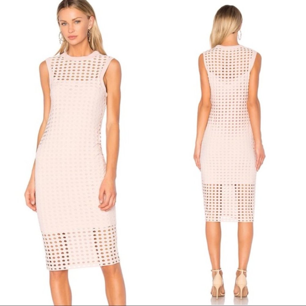 Small Alexander Wang Blush Midi Dress